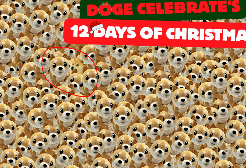 mazyokfn's tweet photo. @ownthedoge https://t.co/udHT82Hd2l