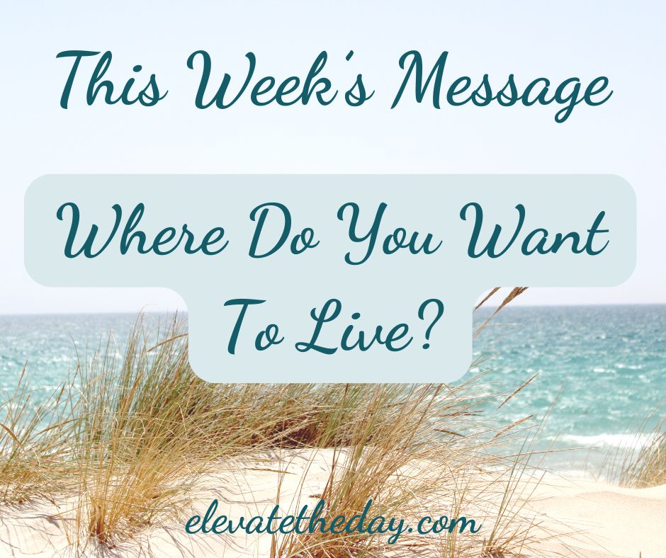 This week's (and final for 2025) Elevate The Day blog is live! In “Where Do You Want to Live?” I’m sharing why choosing to live with more of God in my life has had not one con—only grace, growth, and truth.
Subscribe + Read the Blog at elevatetheday.com/?p=8676
