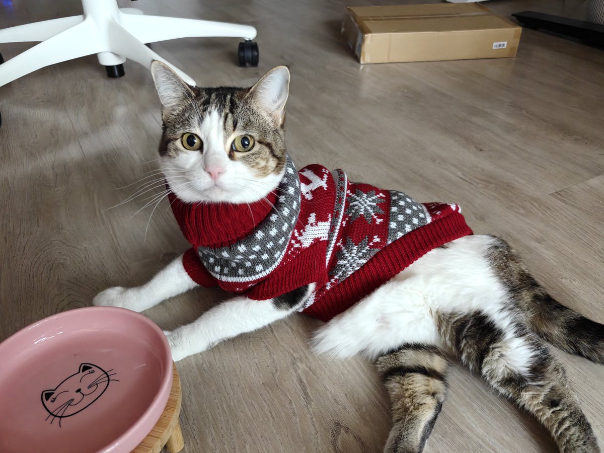 jelly has been made festive