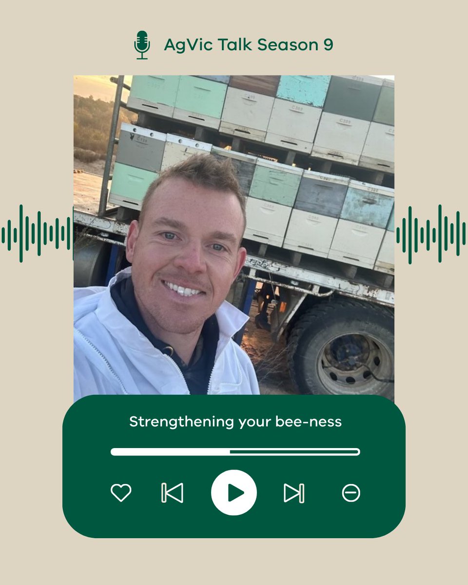 VicGovAg's tweet photo. 🐝 With climate change making weather patterns unpredictable, planning can be challenging. 

In this episode, third generation beekeeper, Richard Collins, shares his tips on planning for the unexpected and future climate risks. 

🎧 Listen now to discover more about his experience in dealing with climate variability and risks: https://t.co/Ps9sRRprec  

#Adaptingtotheseasons