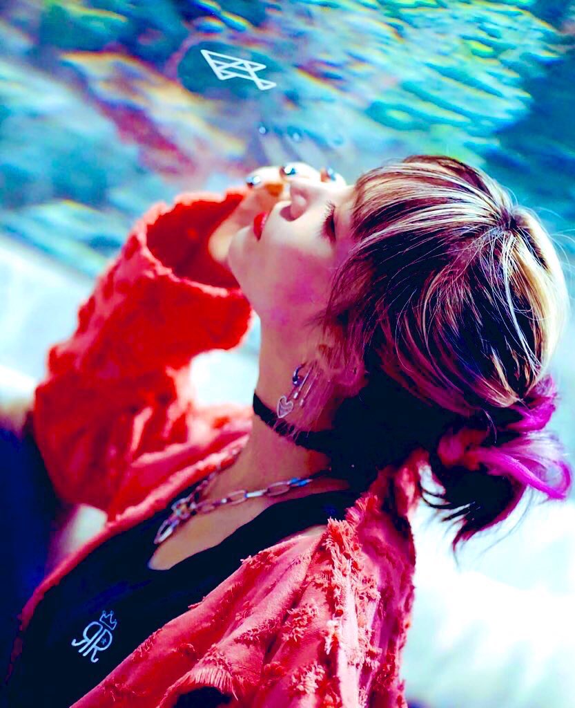 ミチャ🐈🧣✨にポチっと🐈🧣