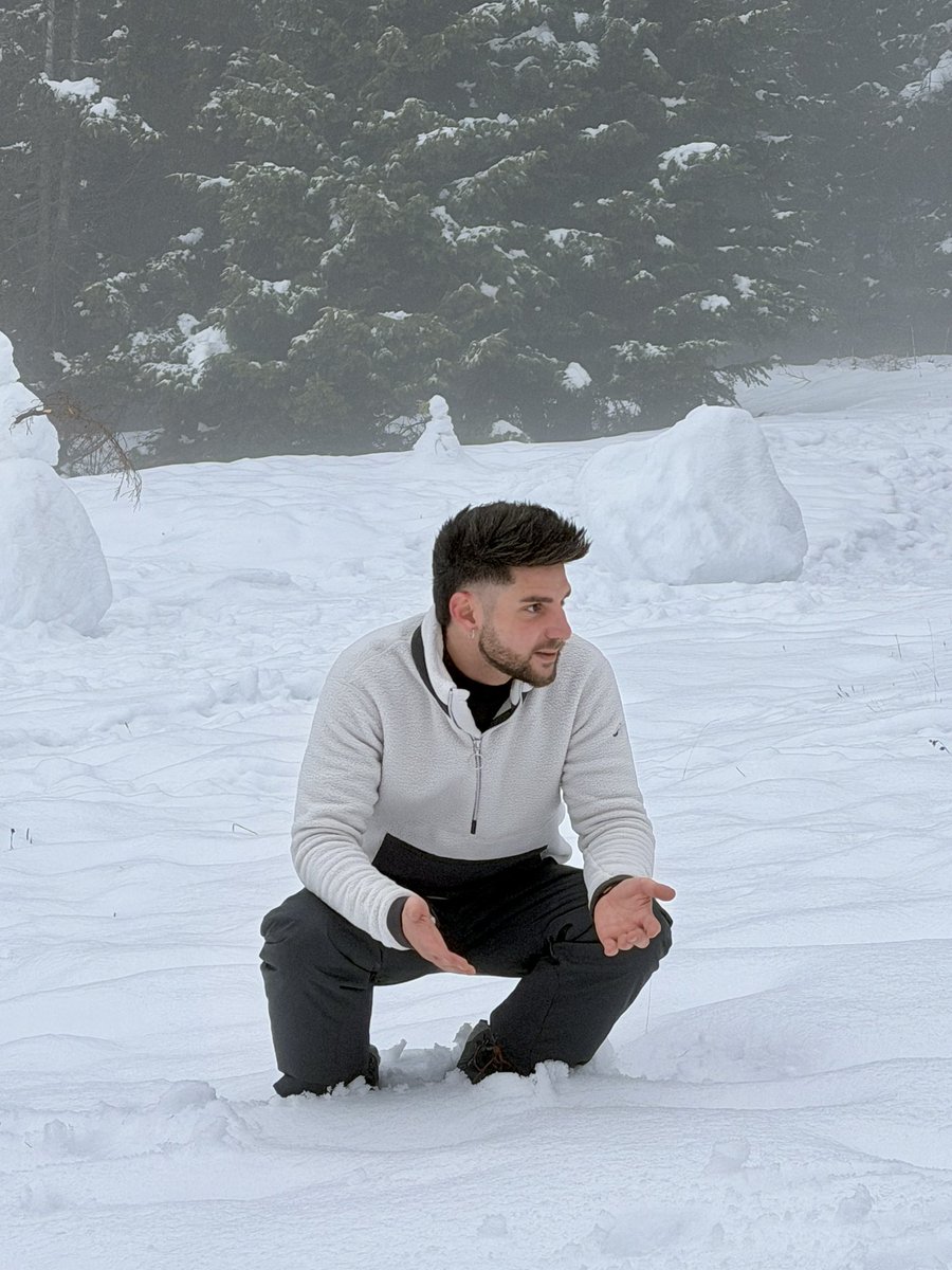 Mousy93to's tweet photo. ❄️ https://t.co/IYT1kF5PpJ