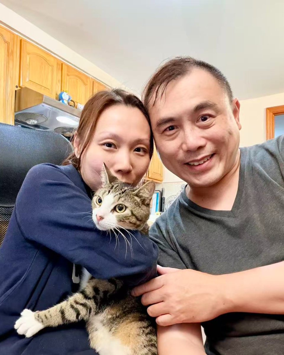 ASPCA's tweet image. Omelette was brought to the ASPCA Animal Hospital suffering from a traumatic brain injury &amp;amp; multiple other severe injuries, both old &amp;amp; new. After a much-needed leg amputation &amp;amp; some TLC, Omelette found himself the perfect family, both human &amp;amp; feline alike! bit.ly/3YIBhE1