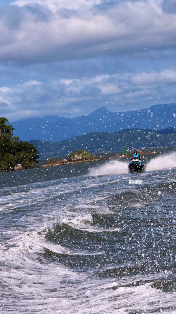 DEMATHE's tweet image. Hoje o dia foi demais. Teve golfinhos, tartaruga e criançada se divertindo.