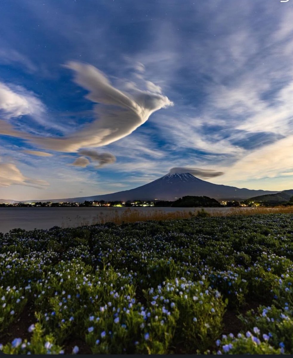 Өглөөний мэнд ээ.

Шинэ долоо хоногт тань өндрөөс өндөр амжилт хүсье 💪

#GoodMorningX