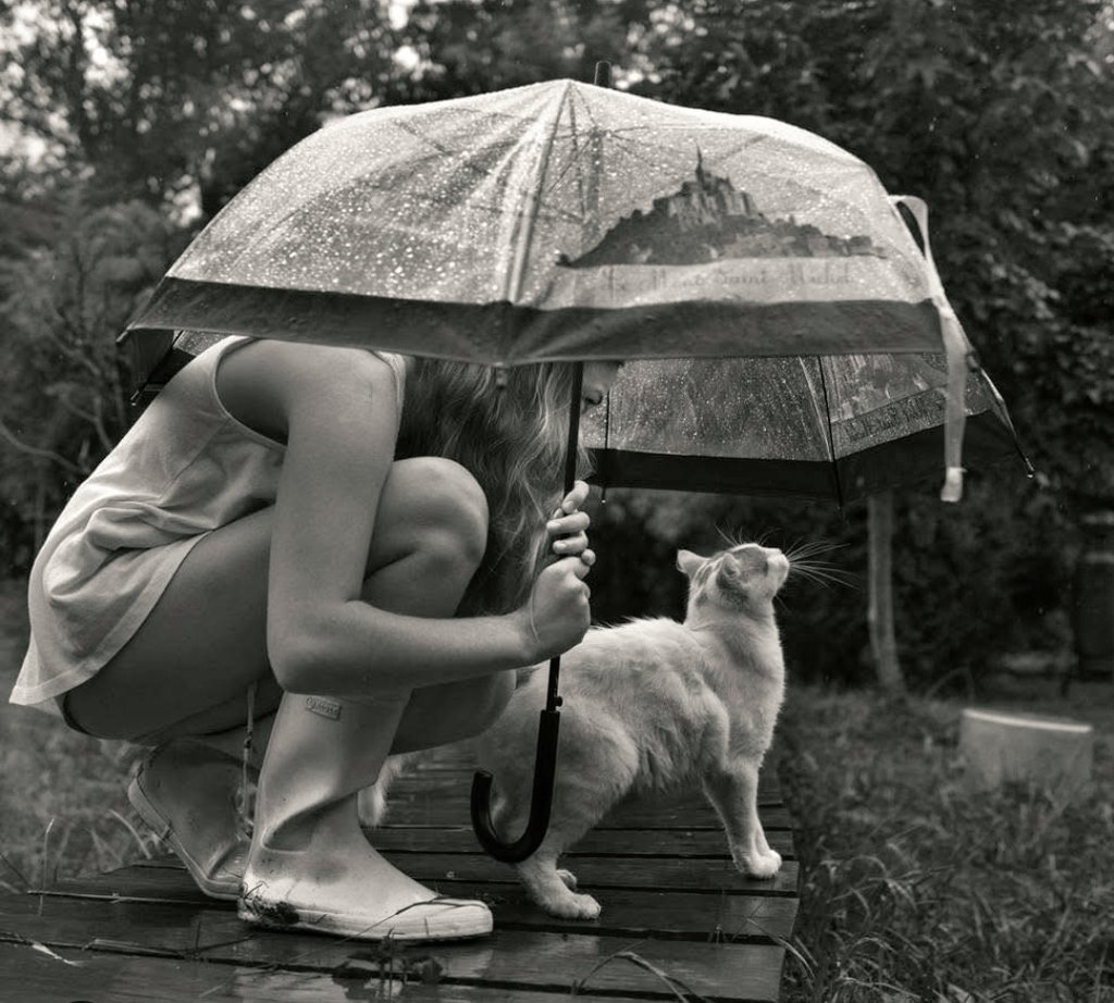 Bu dünyada, birine güvenmekten daha ödüllendirici bir şey yok.

#iyigeceler 
💫