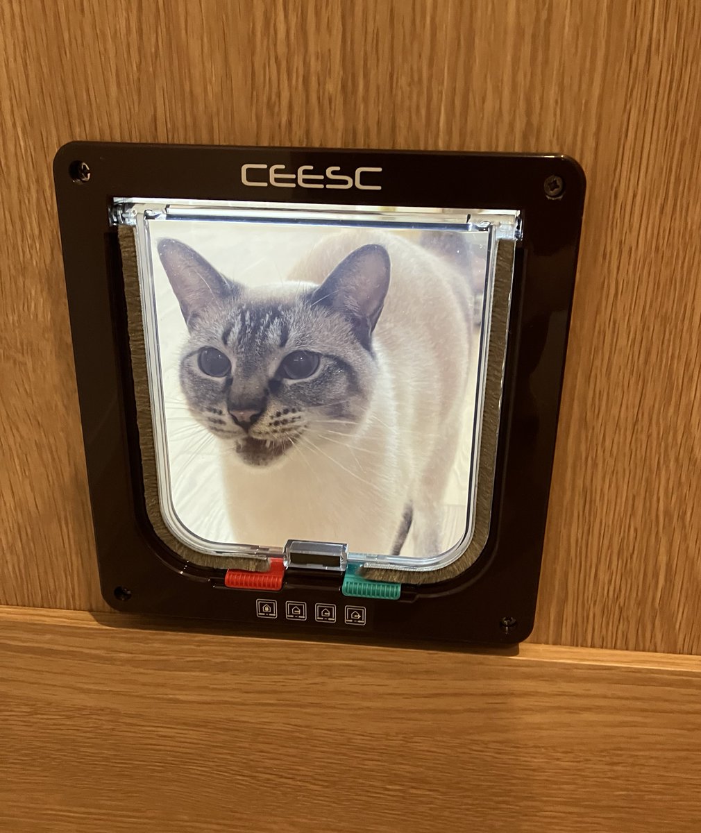 ウチの子も同じでした😺😼🙀