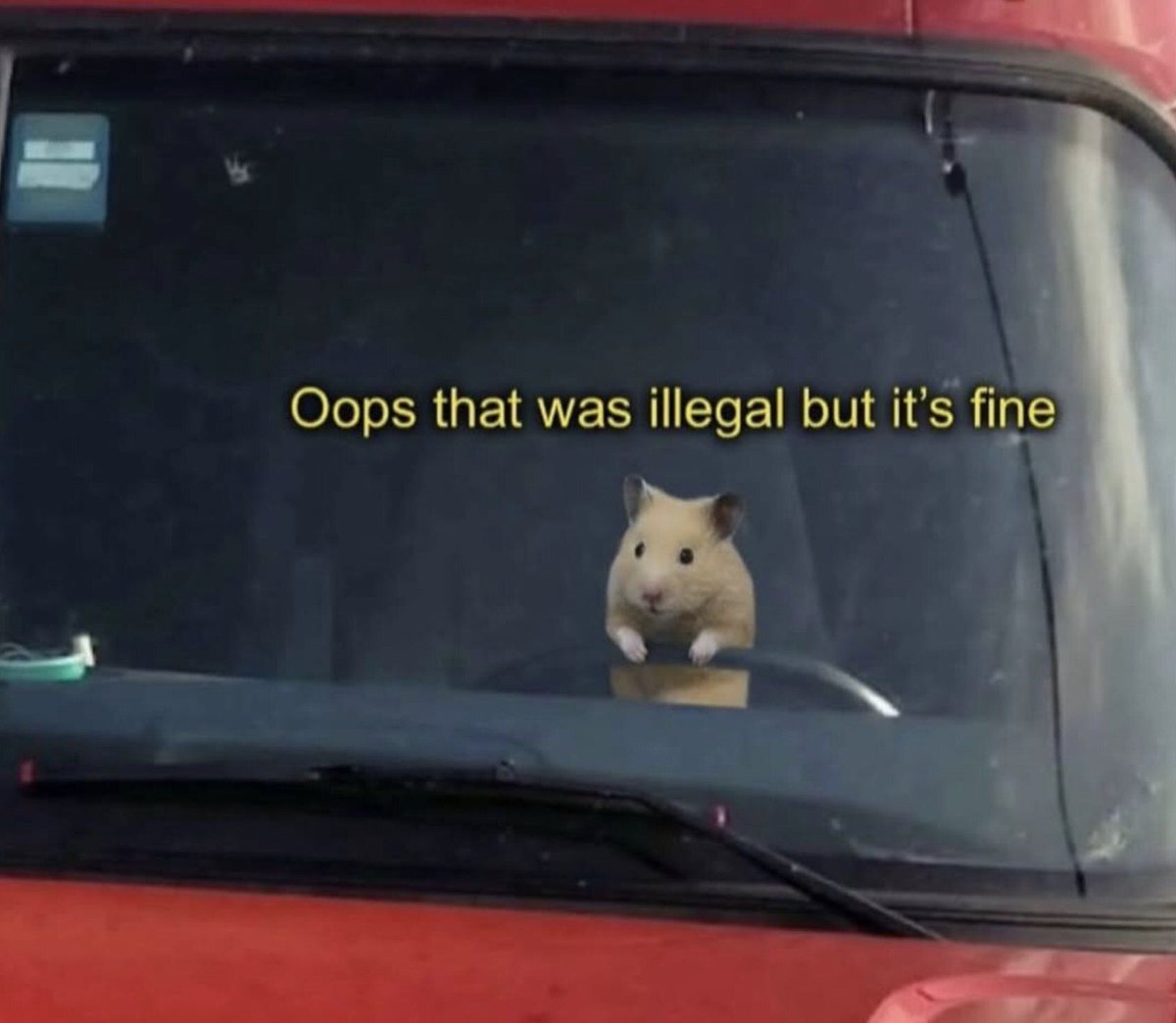 nocontextmemes's tweet photo. https://t.co/SW5aUUIKXi