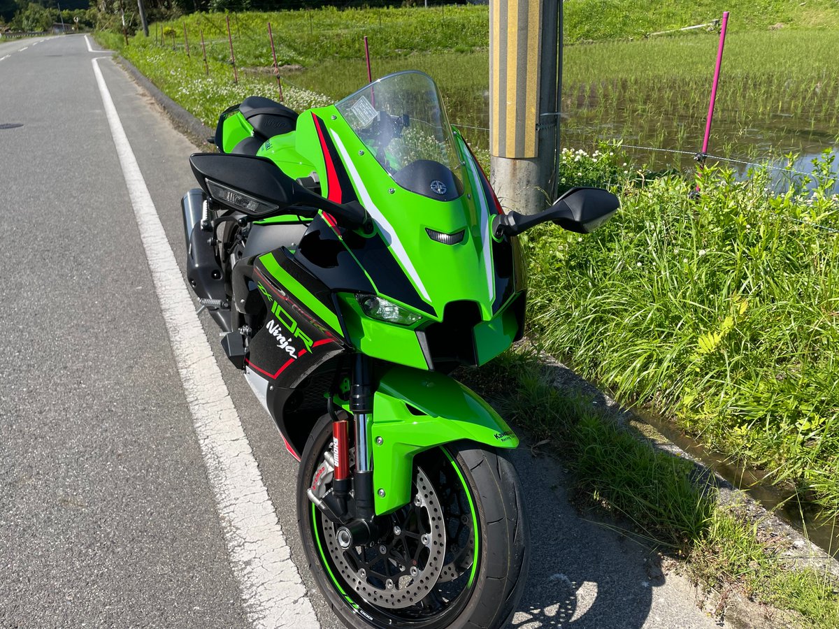 おはようございます。 今週もよろしくお願いします🐨