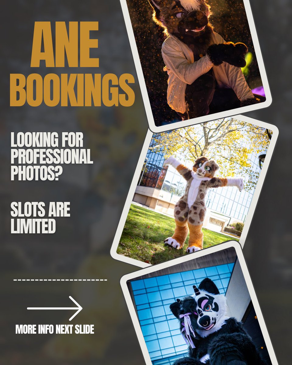 Cain 🦮💪 tweet media