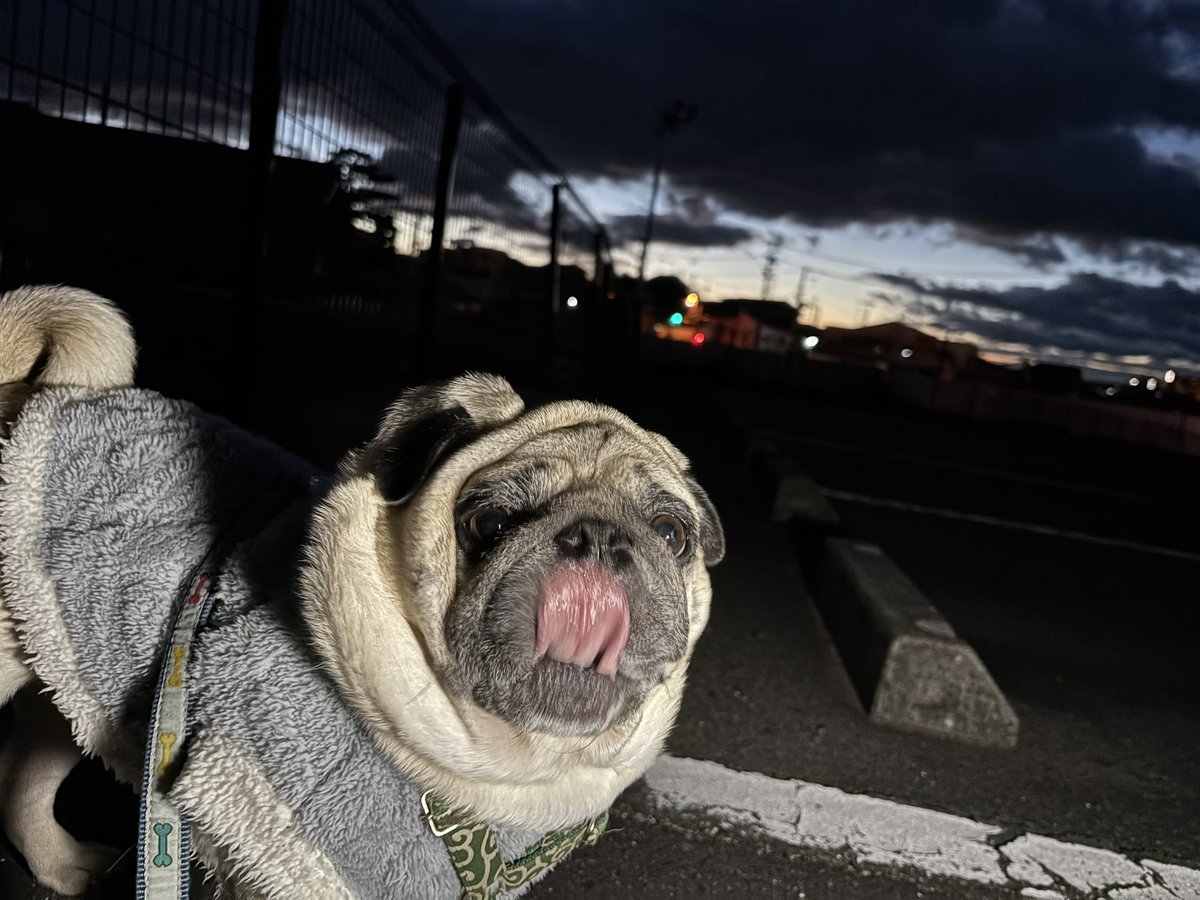 おはよう御座いますm(_ _)m だいたいの職場では今週いっぱい働けば年末