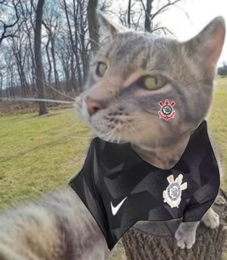 mandyyyyyyyT tweet media