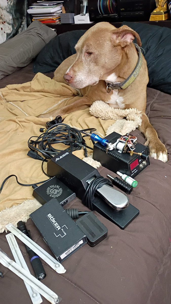 I don't like leaving Crimson alone for long