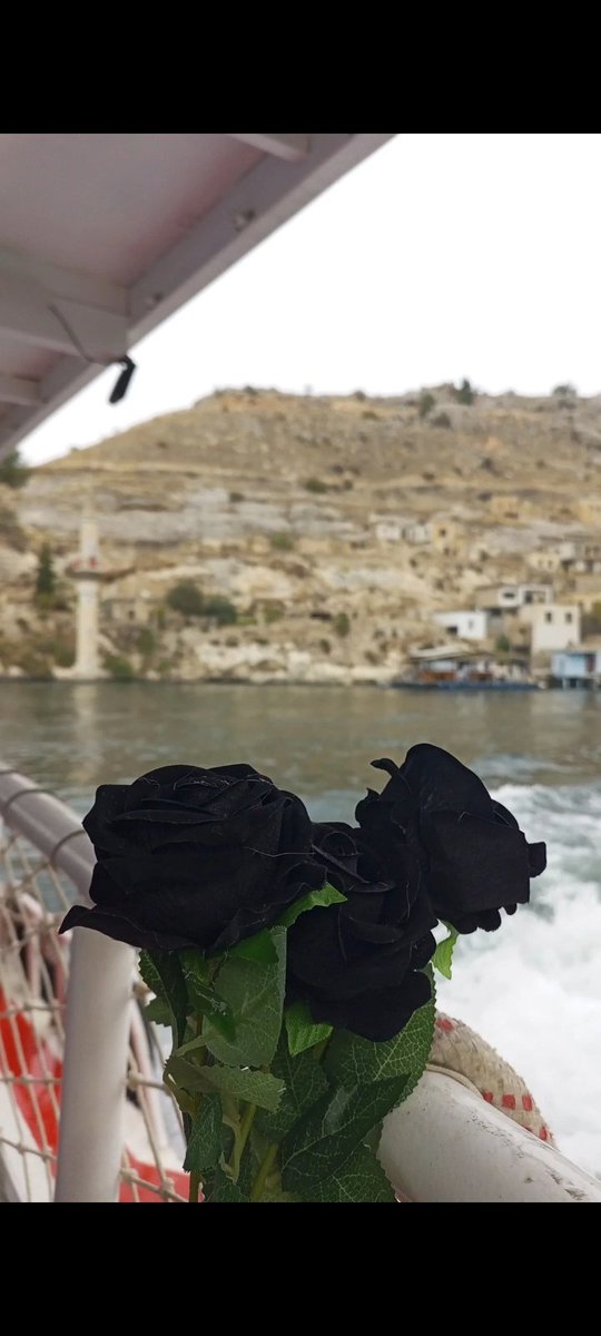 sadece tek bir yerde yaşayabilmek