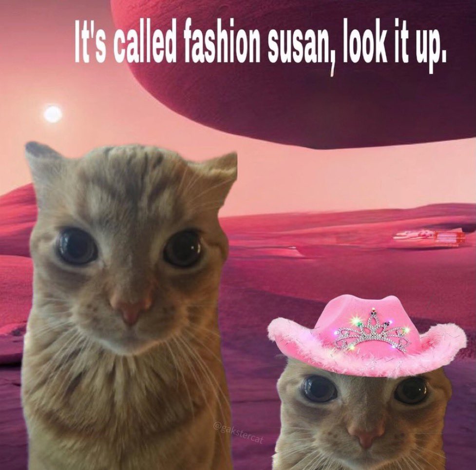 GaK (@gakstercat) on Twitter photo 