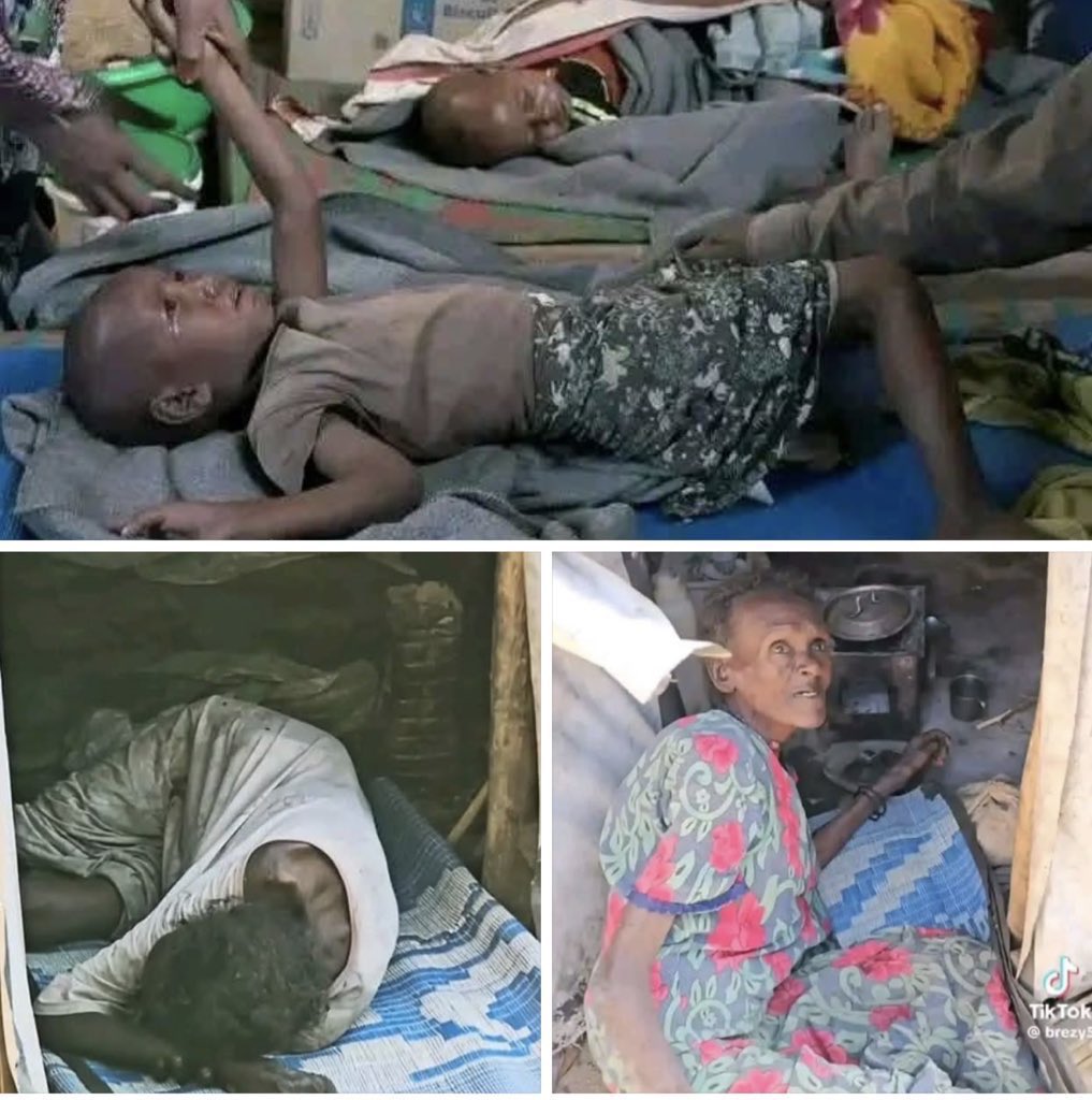 Mይሳው tweet media