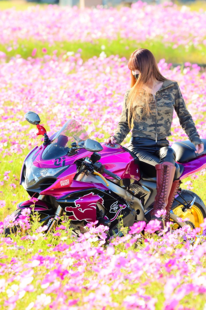 Sちゃん 𝐒ちゃん🌸猫Photo Rider (@Kuroneko_S_chan) / Posts / X