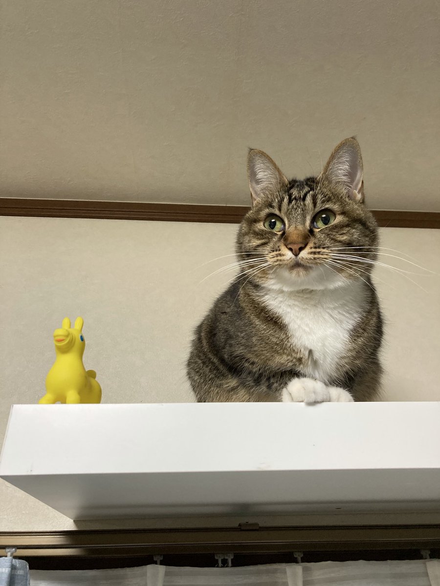 谷崎泉 (@tanizakiizumi) / Posts / X