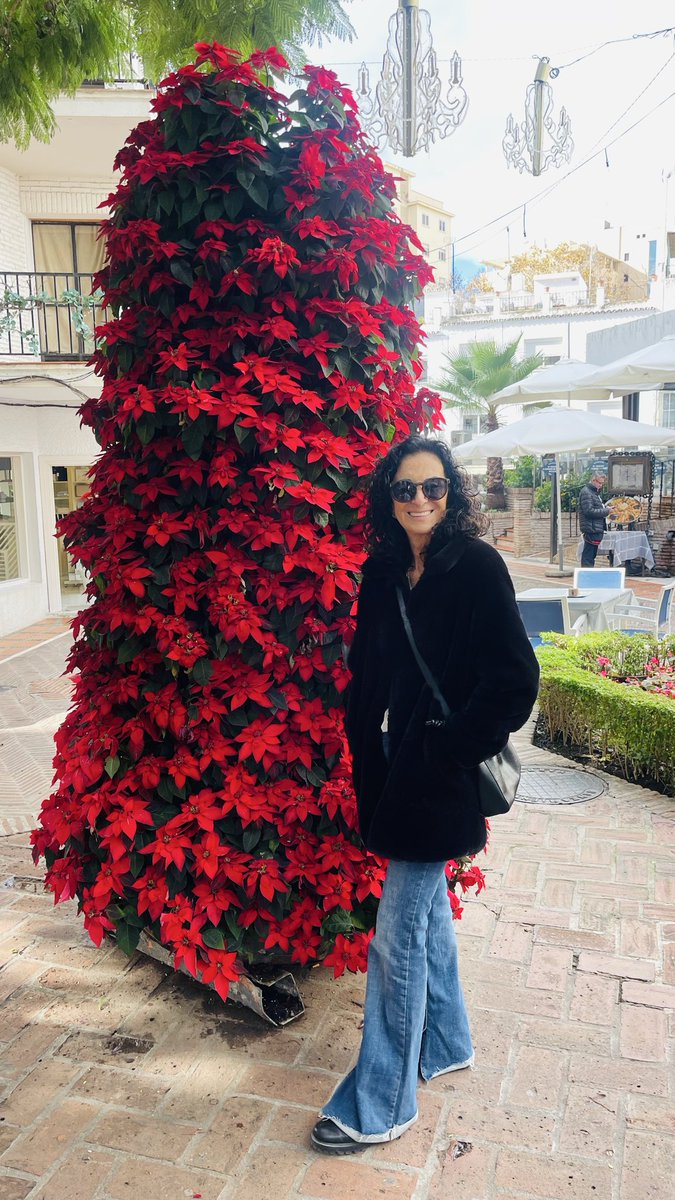 Merry Christmas if you see me