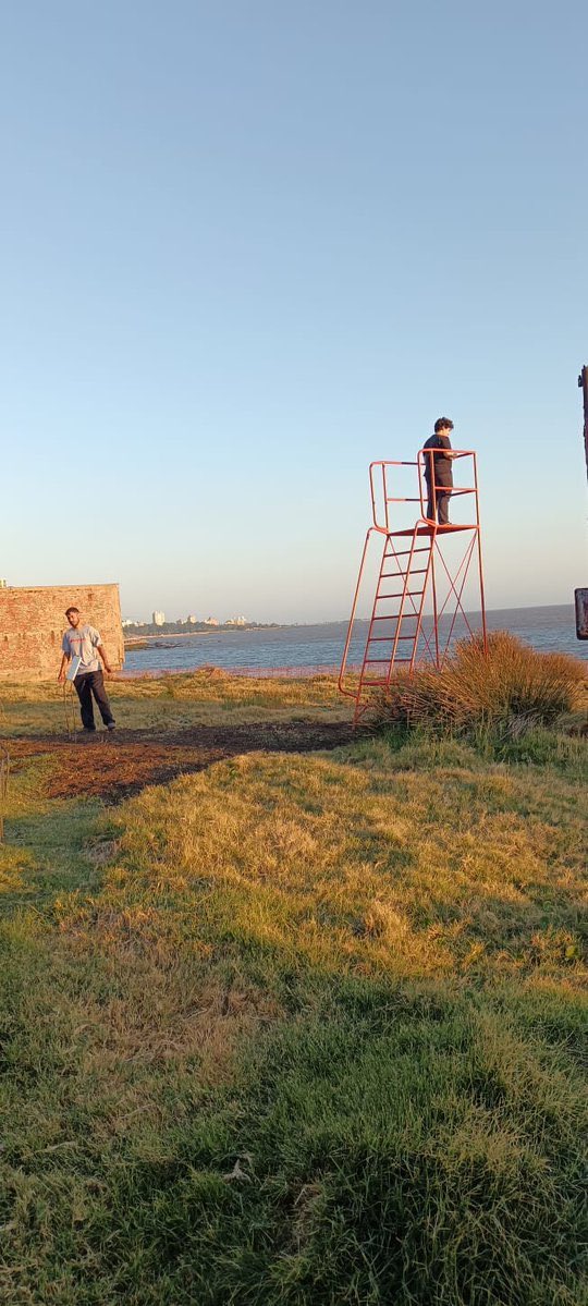 Es de orden que un parque temático de Depresión y Tristeza ofrezca una plataforma para arrojarse al vacío. Pero hacela un cacho más alta, Marito.