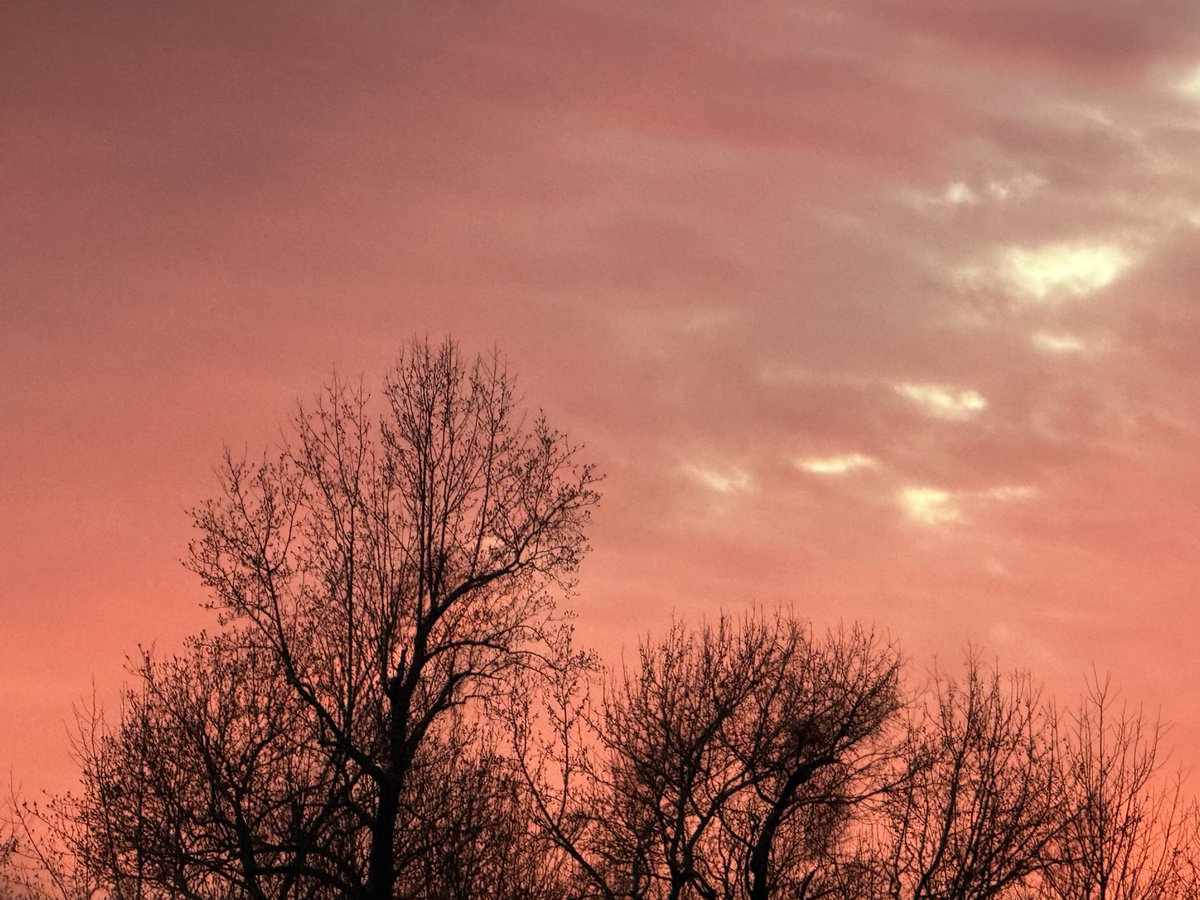 _firehydrangea's tweet image. life is so short