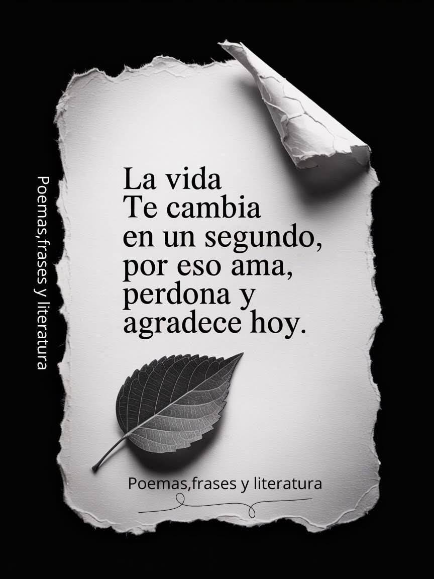 EscueladeVida21's tweet image. 