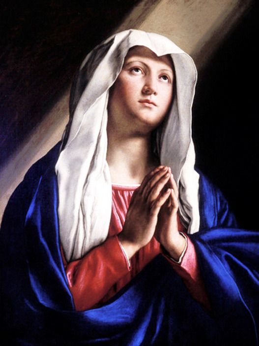 Santododia1's tweet photo. ✝️ EVANGELHO DO DIA - 22/12/2025

Lc 1,46-56

Naquele tempo, 46 Maria disse: “A minha alma engrandece o Senhor, 47 e o meu espírito se alegra em Deus, meu Salvador, 48 porque olhou para a humildade de sua serva. Doravante todas as gerações me chamarão bem-aventurada, 49 porque o Todo-poderoso fez grandes coisas em meu favor. O seu nome é santo, 50 e sua misericórdia se estende, de geração em geração, a todos os que o temem.
51 Ele mostrou a força de seu braço: dispersou os soberbos de coração. 52 Derrubou do trono os poderosos e elevou os humildes. 53 Encheu de bens os famintos, e despediu os ricos de mãos vazias. 54 Socorreu Israel, seu servo, lembrando-se de sua misericórdia, 55 conforme prometera aos nossos pais, em favor de Abraão e de sua descendência, para sempre”. 56 Maria ficou três meses com Isabel; depois voltou para casa.

— Palavra da Salvação.

— Glória a Vós, Senhor.

Que as palavras do Santo Evangelho perdoem os nossos pecados e nos guardem para a Vida Eterna. Amém.