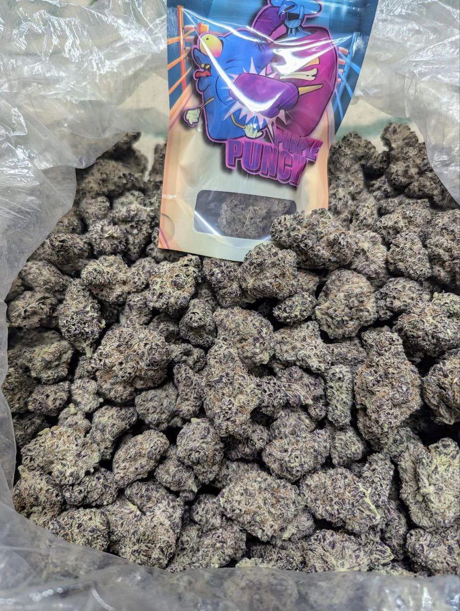 elmer_budd420's tweet image. PURPLE PUNCH 🥊 🤛

  Who will love to try this?? 

Lmk with a repost an 

comment ; I’ll love to try