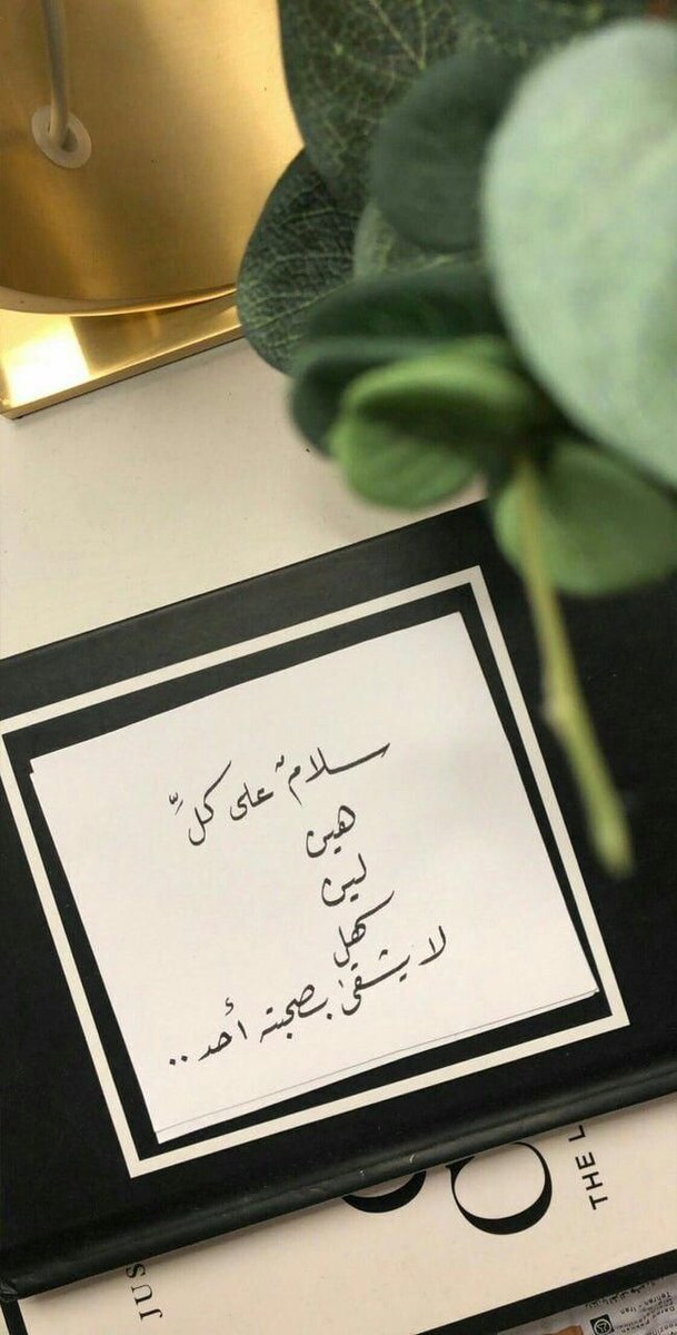 إيفا🪻 tweet media