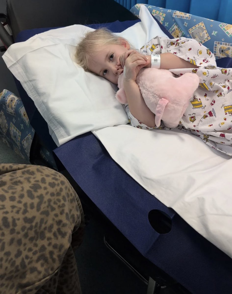 ear operation was a successful operation…now all we do is recover…emilia still a little scared but she is a strong princess beast #happysunday