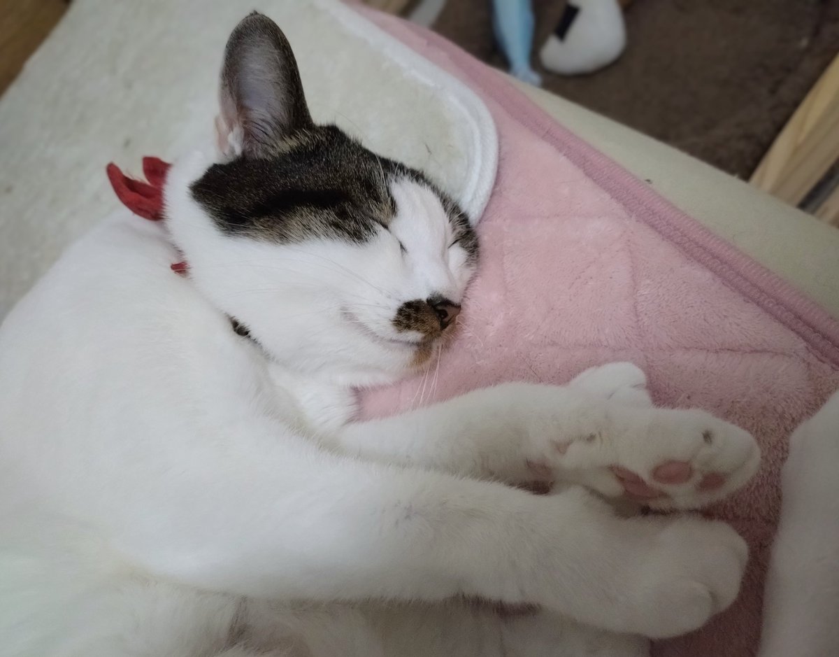 みぃ (@Js4zeKqmJxbnVBS) / Posts / X