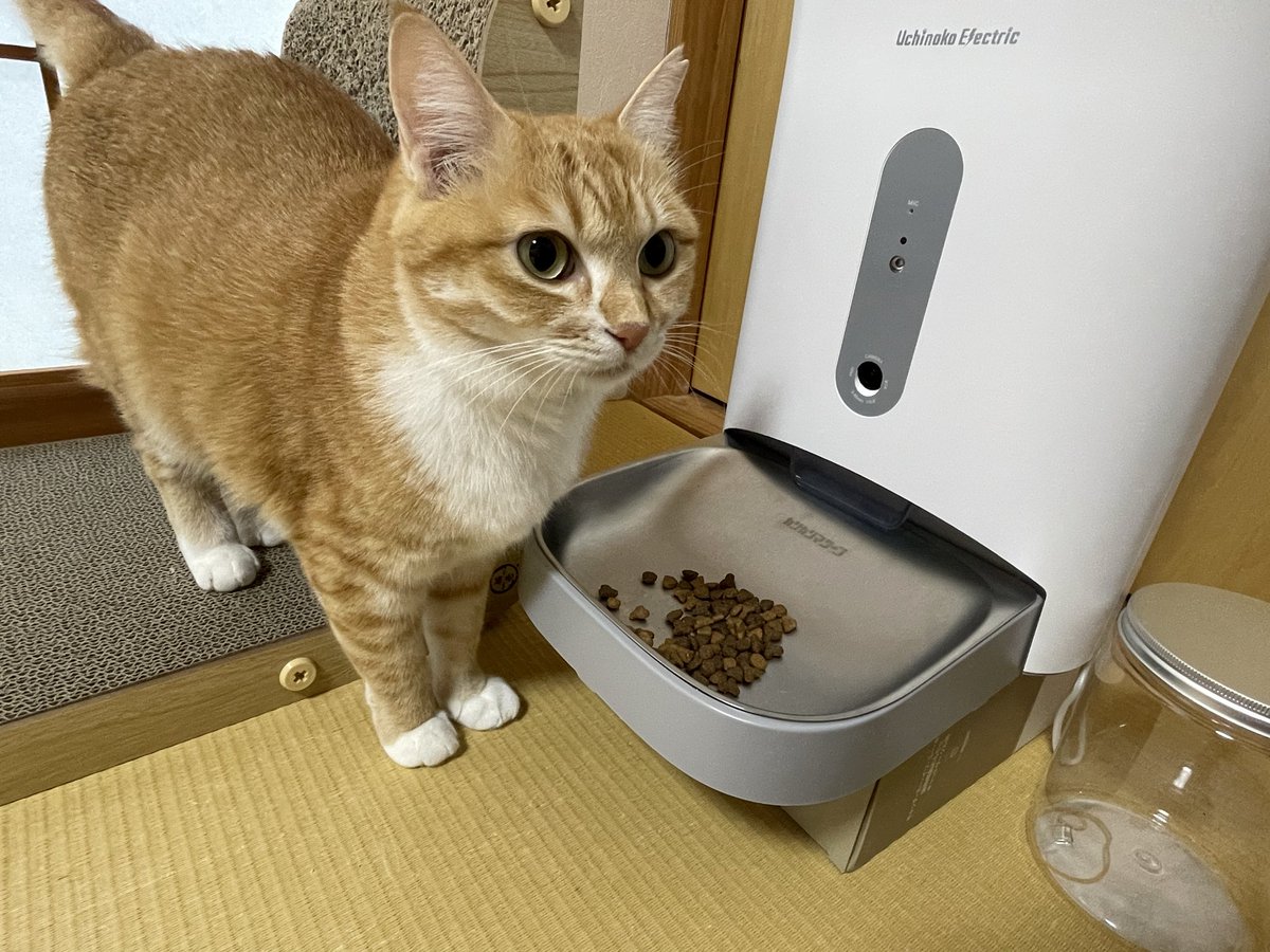 あっきー※※プロフ確認お願いします。 あっきー 【プロフ必読お願いします】様 リクエスト 2点 まとめ商品