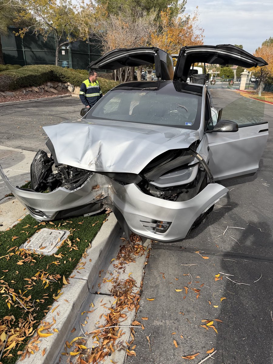 TheRealWBG's tweet image. Tree 1 - WBG 0