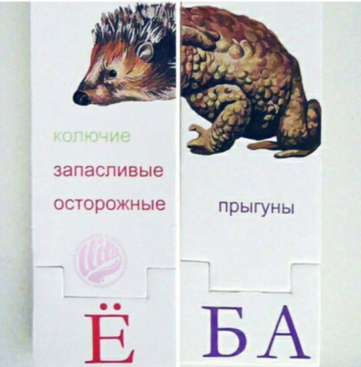 Последний Измогикан (@malsukcesulo) on Twitter photo 