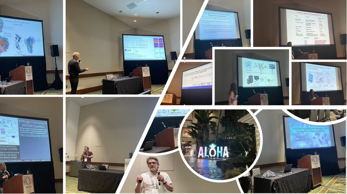 Xuhui Huang tweet media