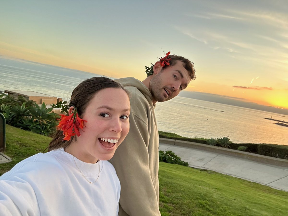 postedguy's tweet image. Pounce