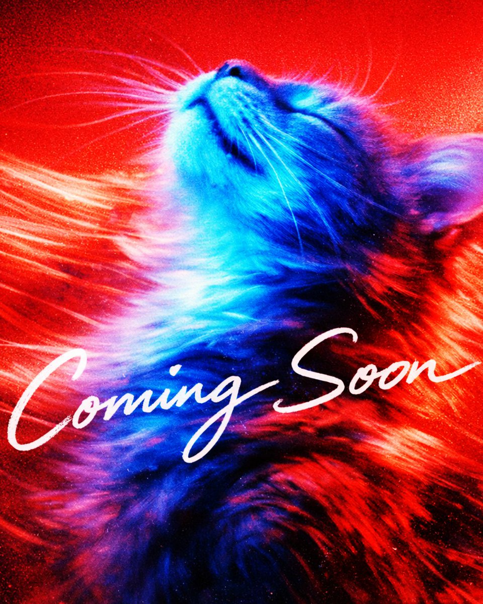 1littlecoder's tweet image. The best creative friend!