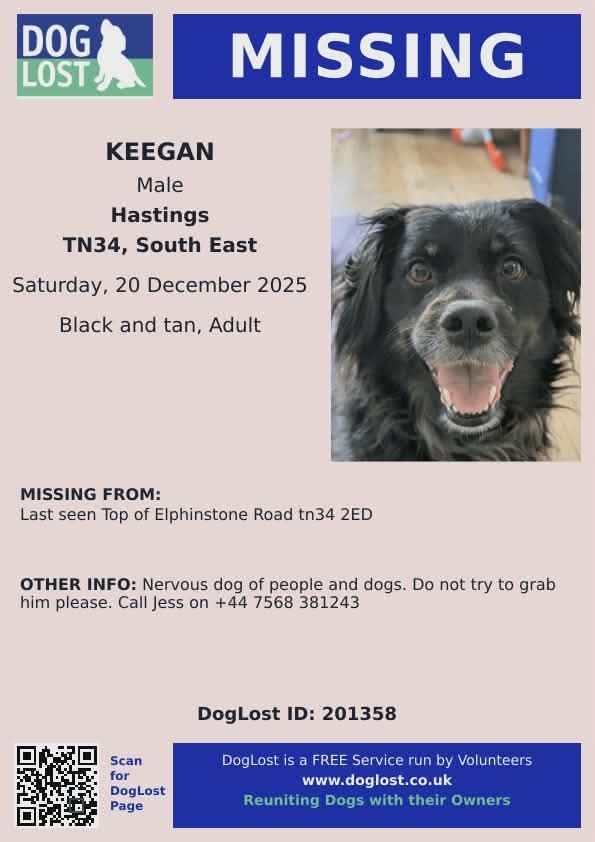 The_Animal_Team's tweet image. 💥 MISSING IN HASTINGS 💥 Keegan is a black/tan male adult dog #missing in #Hastings #TN34 area. Last seen at the top of #ElphinstoneRoad #TN34 on Saturday, 20/12/25. He is a very nervous rescue dog so if seen please do not approach/shout/call/try to grab, but phone number on