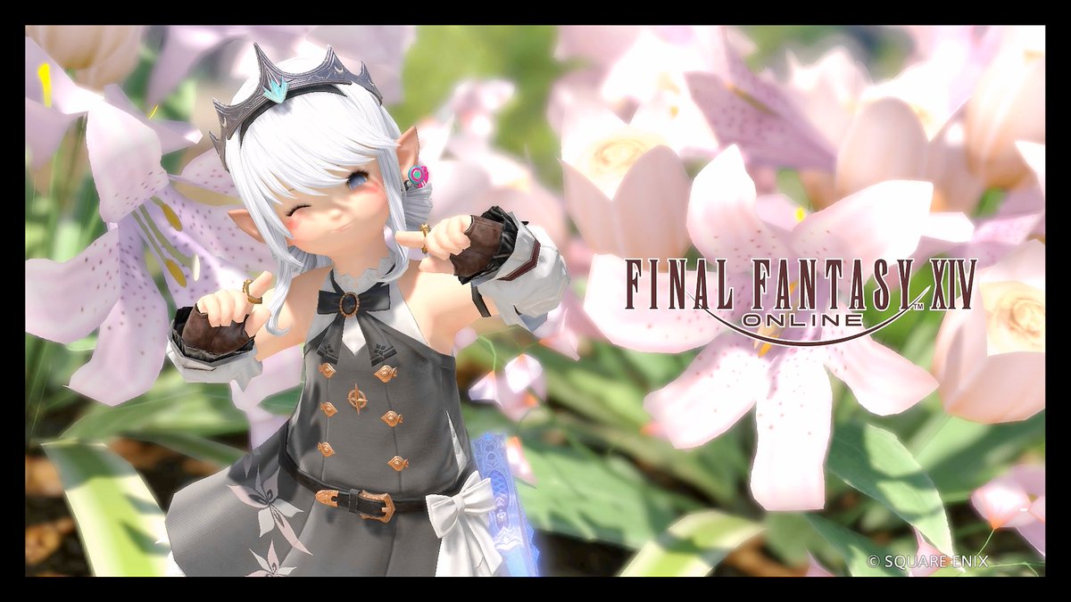 トラちゃん (@tora_cyatora) / Posts / X