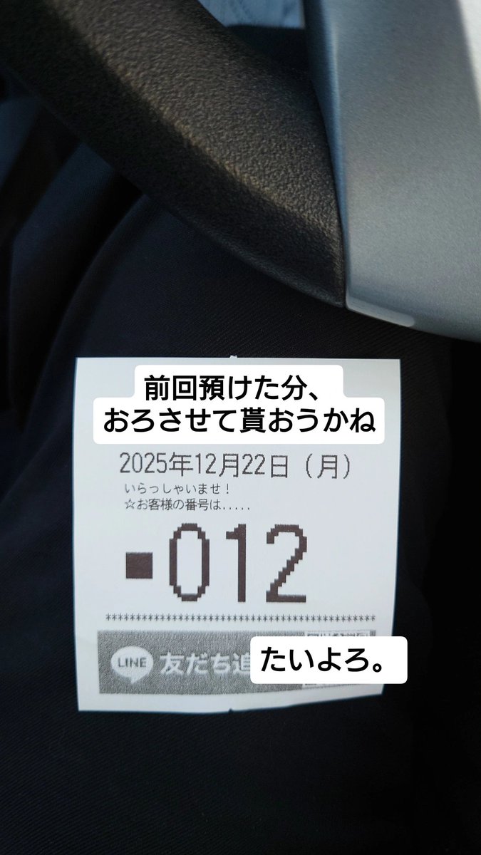 専用です！お急ぎの方はご購入前にご一報くださいさま MAX MARA マックスマーラ Bormida ボルミダ ファー ベスト (Max Mara