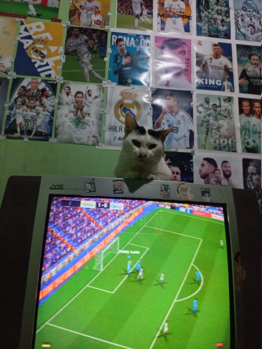 fredi_dermawan's tweet photo. Mitsuki.ππββ¬π±β€οΈ.
#kucing #kucingku #cat #catloversindonesia #pecintakucing https://t.co/Y4n3y9KBBR