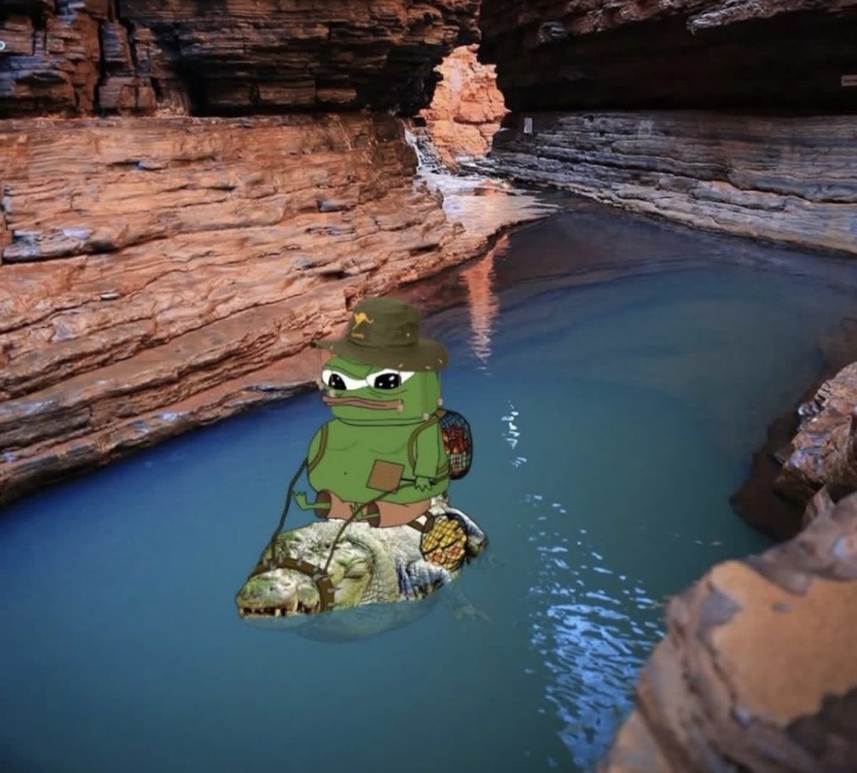 basedpleb tweet media