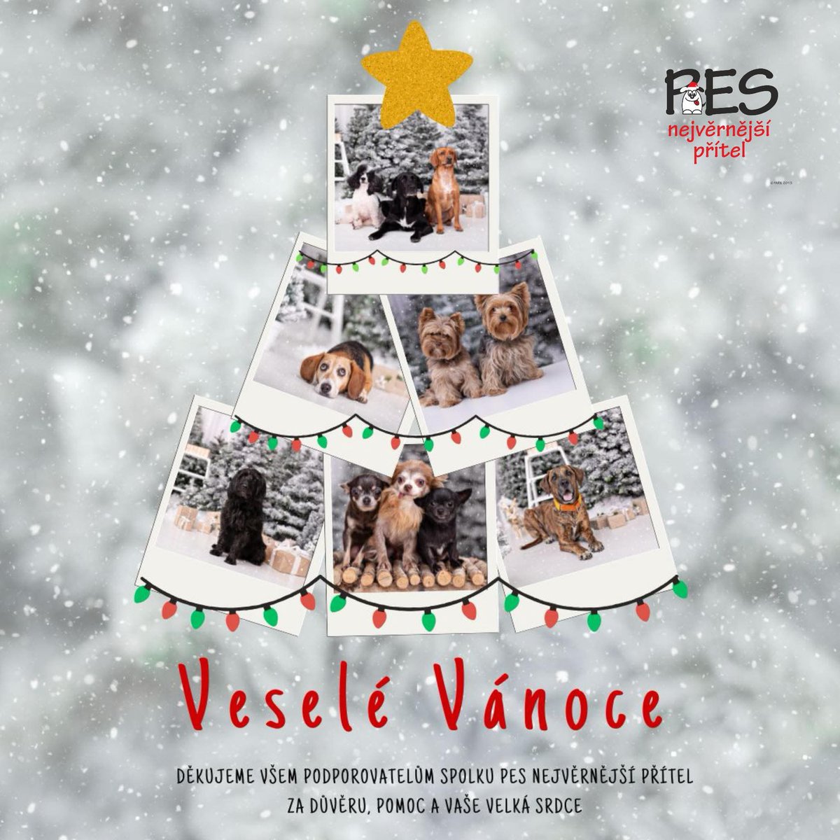 Vánoce jsou o lásce, bezpečí a blízkosti. Díky vám je o svátcích nezažívají jen lidé, ale i psi, kteří by jinak zůstali sami.

Děkujeme, že dáváte naději tam, kde dřív byla jen nejistota.

Klidné Vánoce a děkujeme za každé otevřené srdce. 🐾

#Vanoce #PomocPsům #Nadeje #Adopce