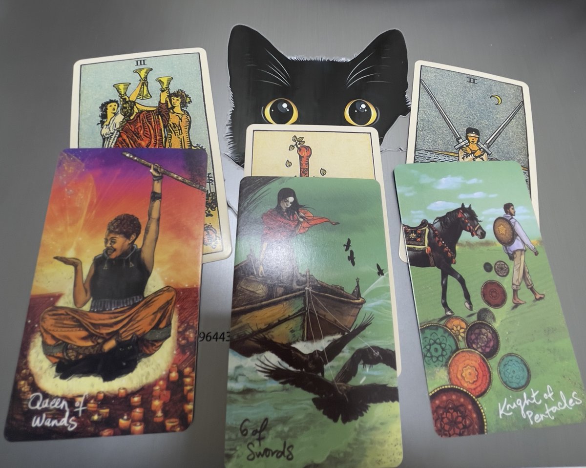 pipipiアドベンチャー 占いカード pipipiアドベンチャー 占いカード Amazon.co.jp: ニチユー(Nichiyu