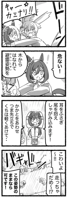 まいにちファル子⭐️しゃい202

「カミナリ対処法」 