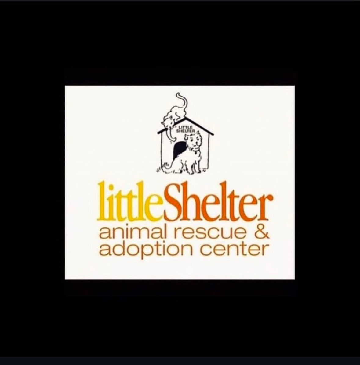 Little Shelter tweet media