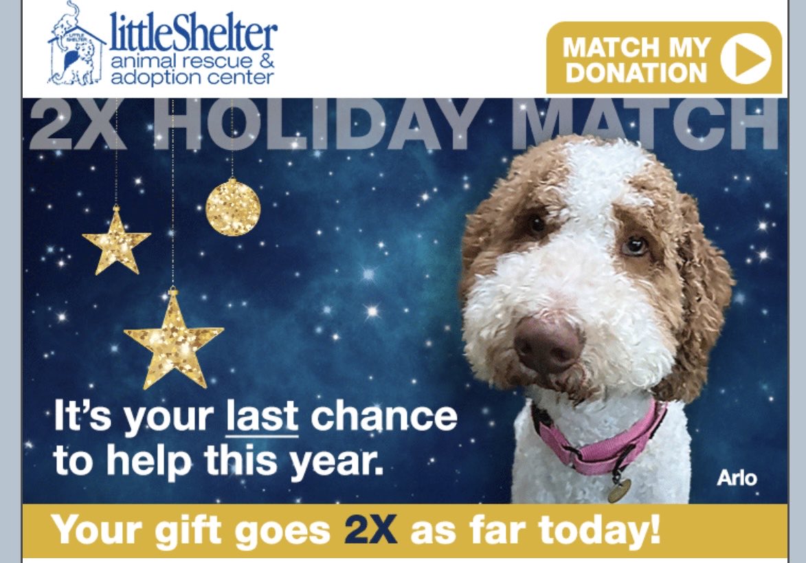 Little Shelter tweet media