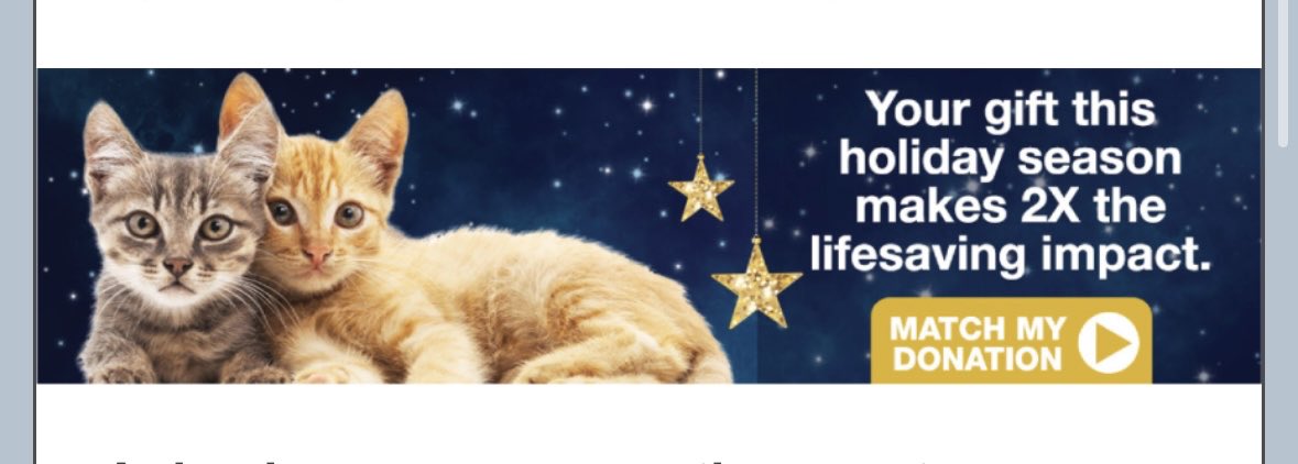 Little Shelter tweet media