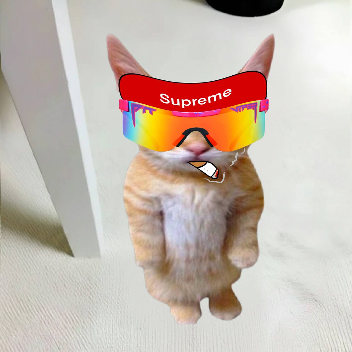 Romano_yeah's tweet photo. @pattyice @zyvrxyz @blknoiz06 @tradingtulips @based16z $ELGATO 😍 https://t.co/B0A7obatg6