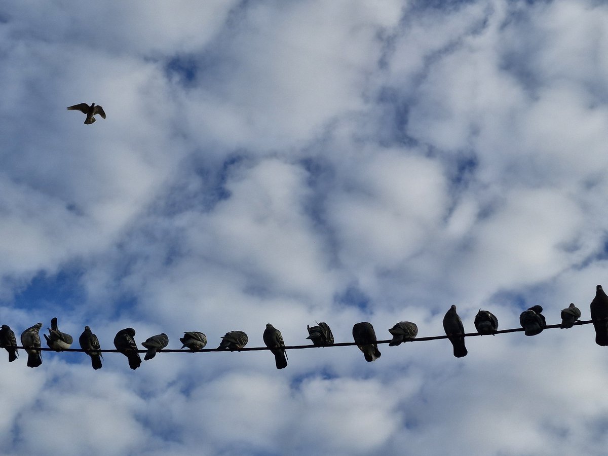 Ταουριέλ (@vesnaoparui) on Twitter photo 